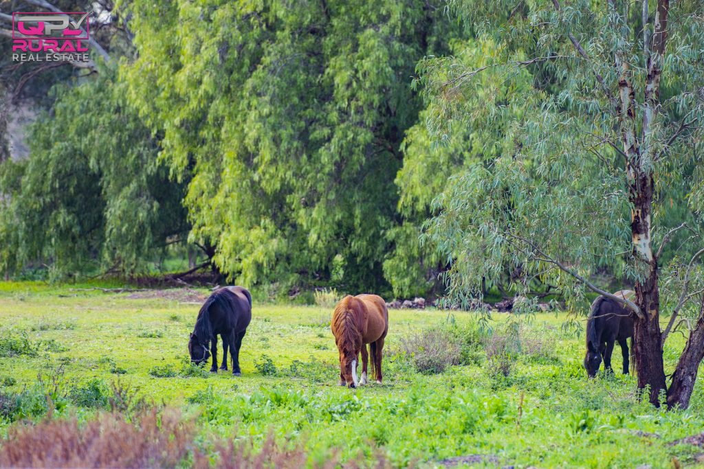 25 Sudgen Street, Narrandera NSW 2700 - photo 2