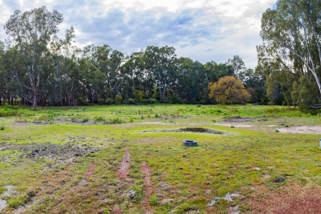 25 Sudgen Street, Narrandera NSW 2700 - photo 3