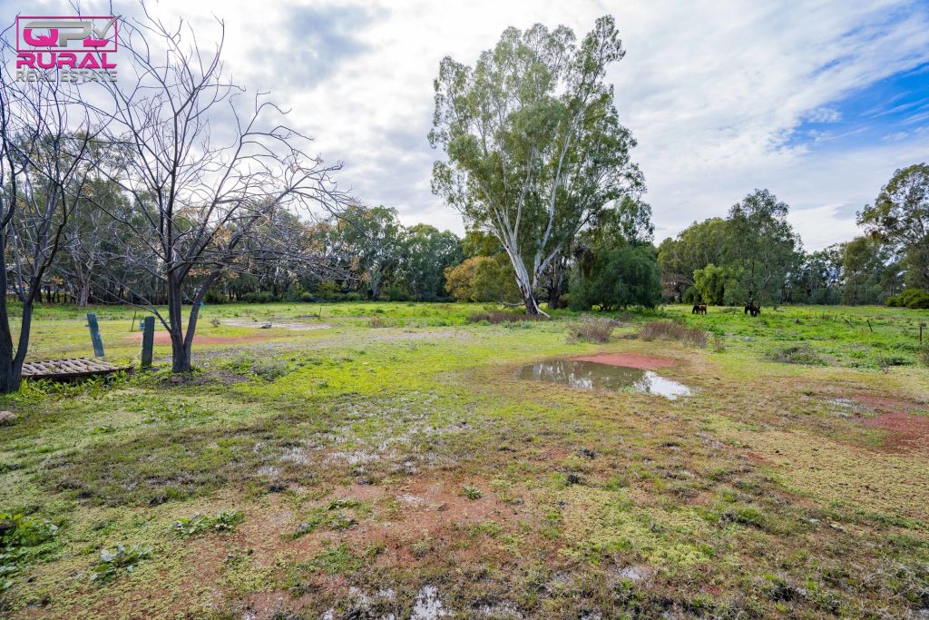25 Sudgen Street, Narrandera NSW 2700 - photo 7