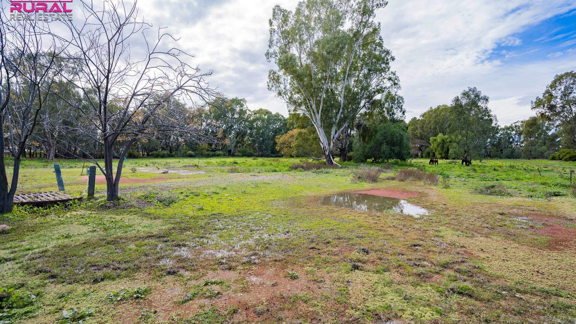 25 Sudgen Street, Narrandera NSW 2700 - photo 7