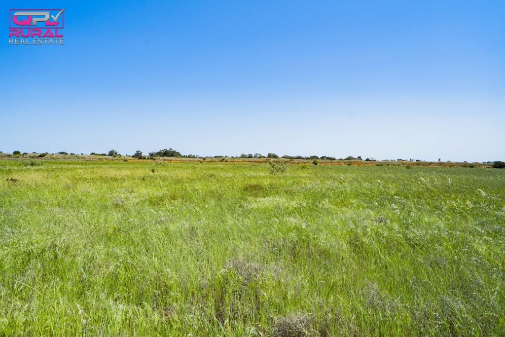 221 Canal Road, Leeton NSW 2705 - photo 2