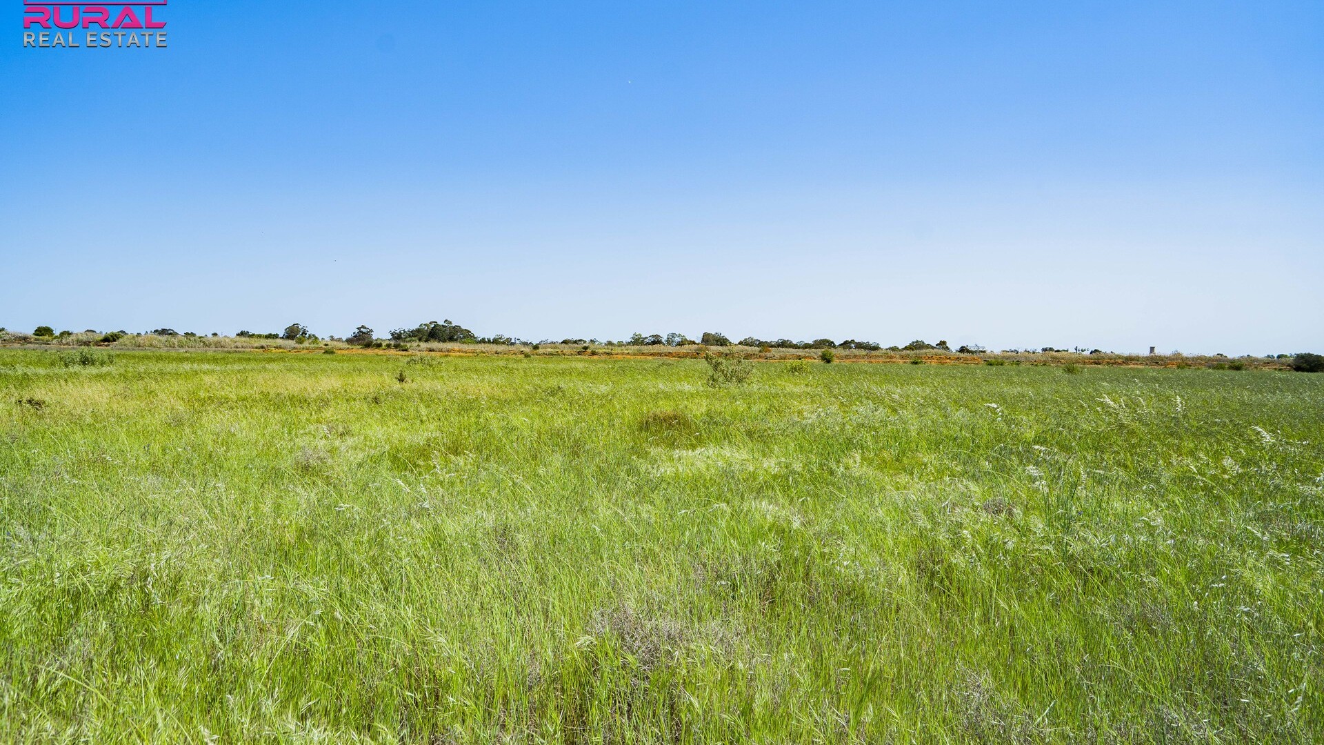 221 Canal Road, Leeton NSW 2705 - photo 2