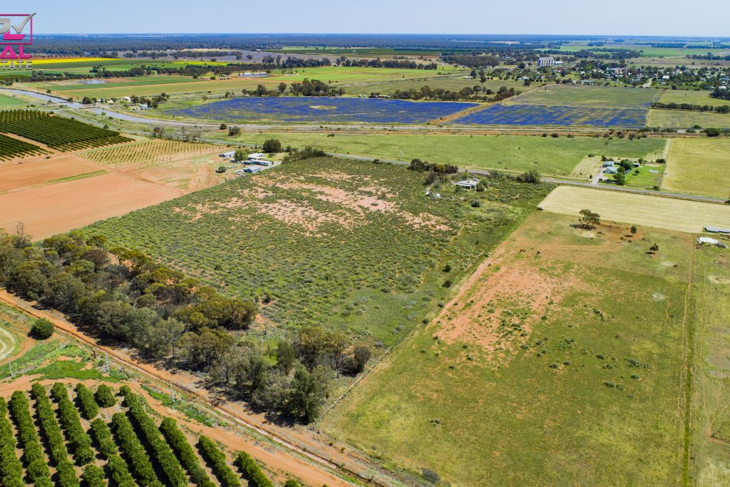 221 Canal Road, Leeton NSW 2705 - photo 6