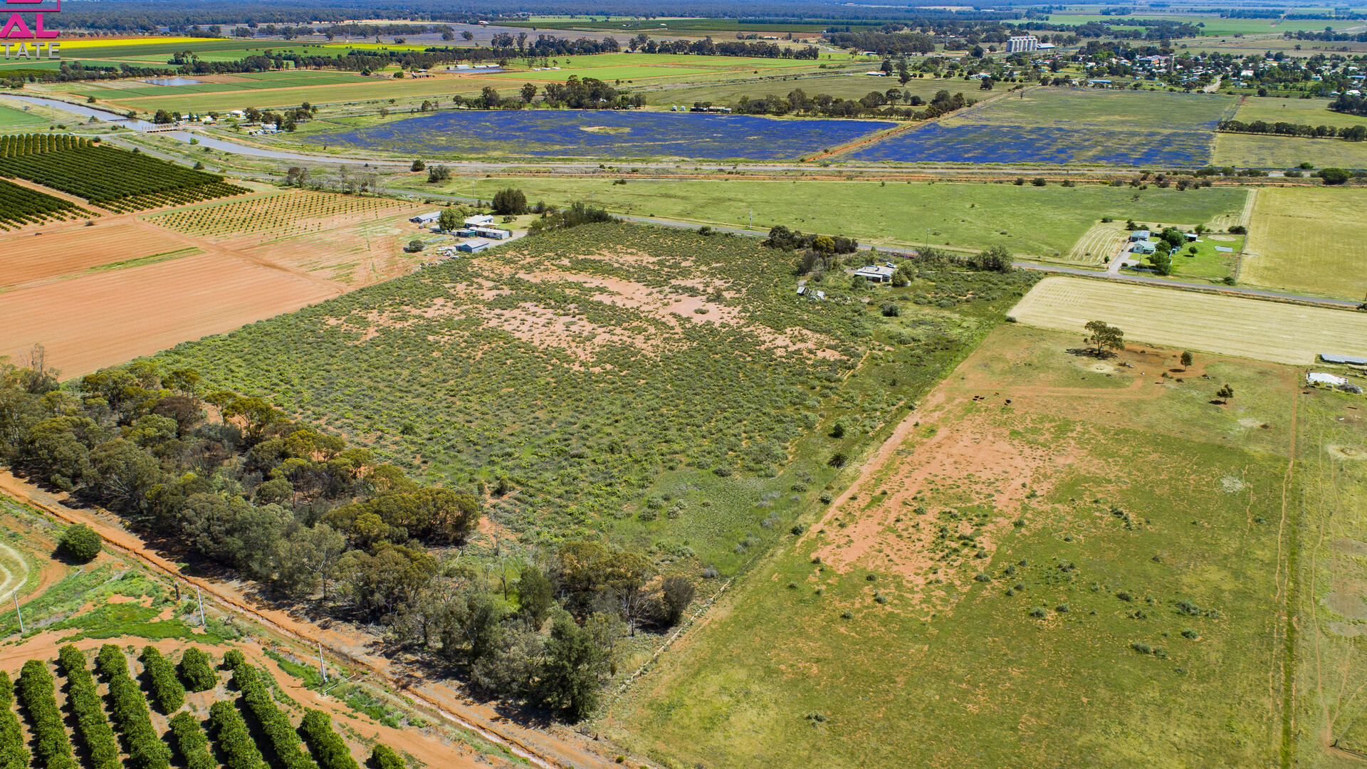 221 Canal Road, Leeton NSW 2705 - photo 6