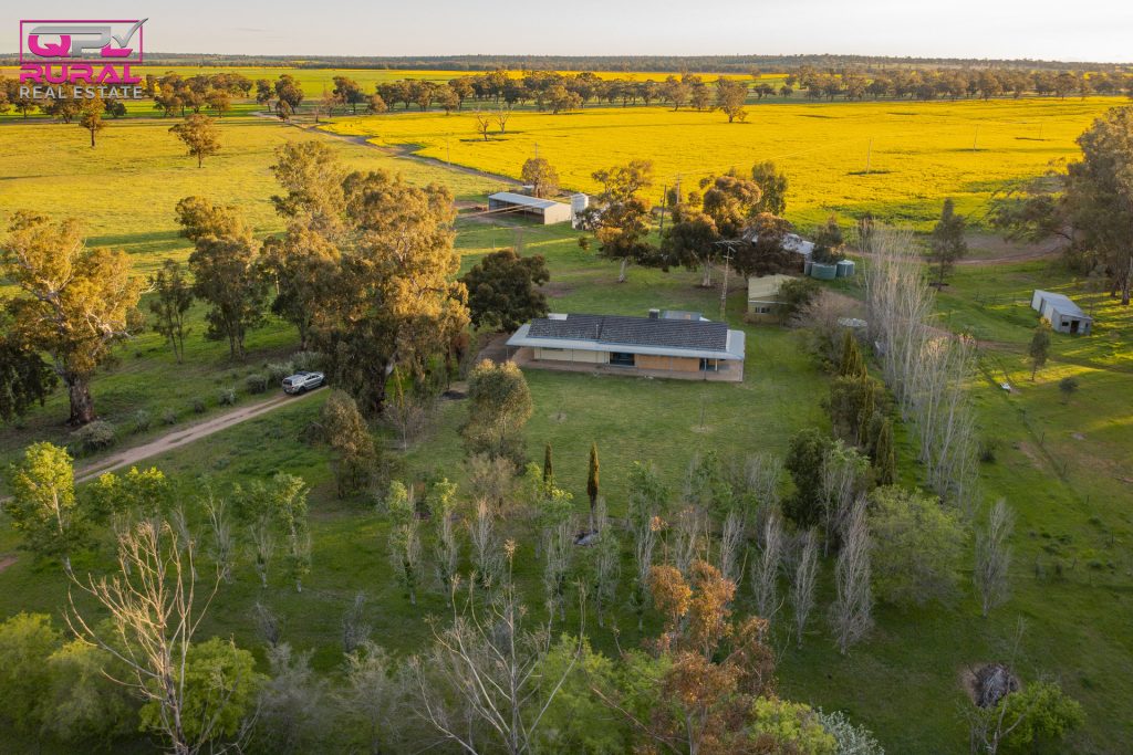 9401 Sturt Highway, Narrandera NSW 2700 - McGrath Riverina