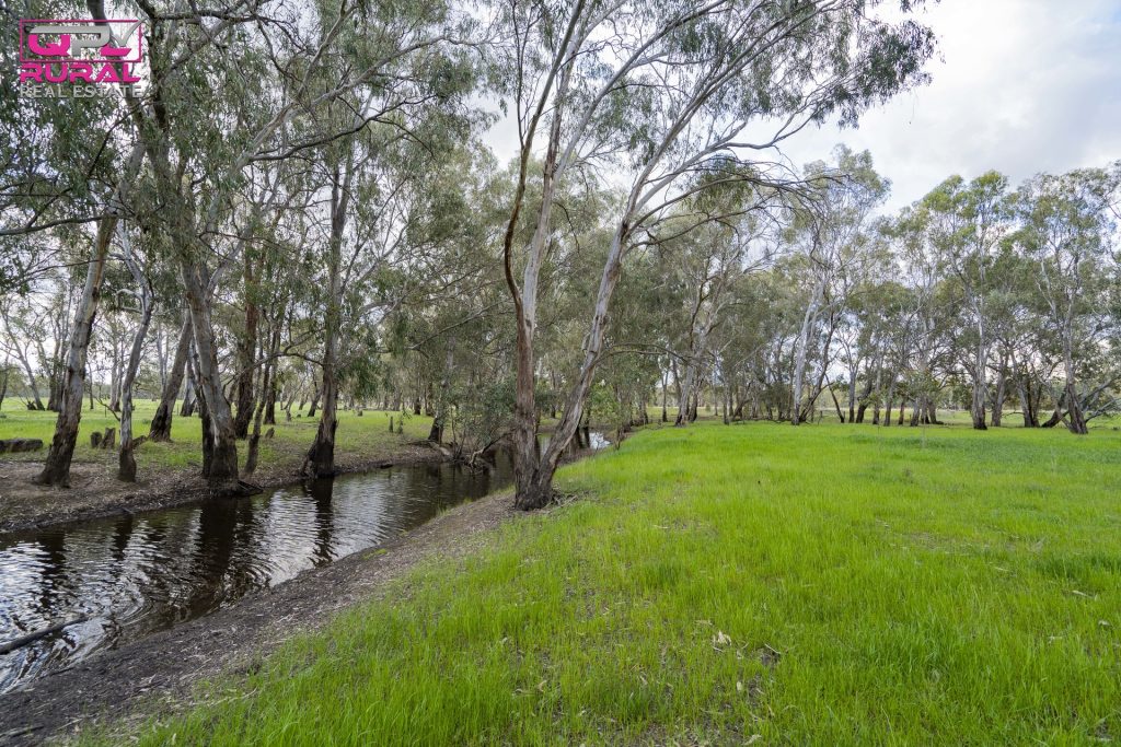 9401 Sturt Highway, Narrandera NSW 2700 - photo 24