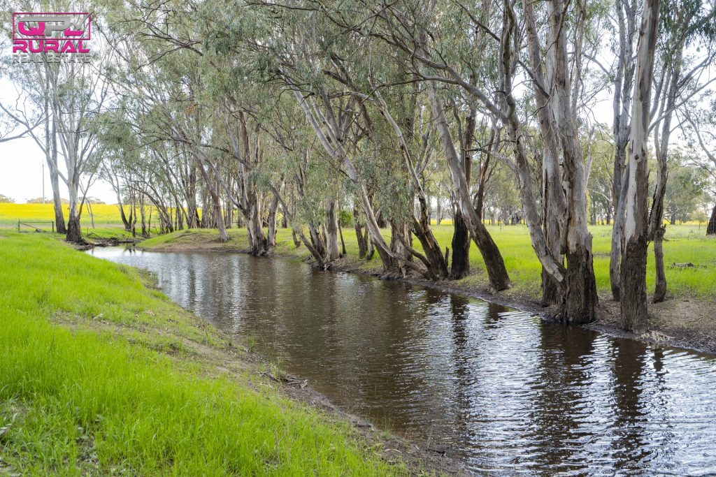 9401 Sturt Highway, Narrandera NSW 2700 - photo 29