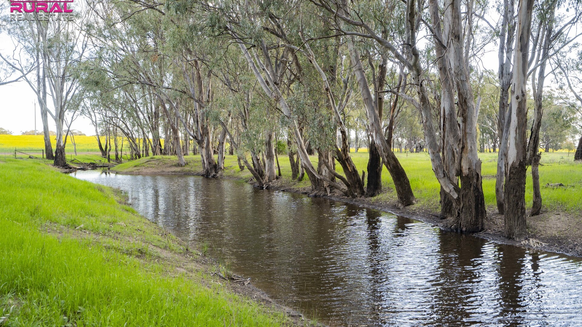 9401 Sturt Highway, Narrandera NSW 2700 - photo 29