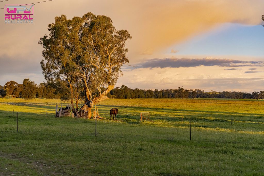 9401 Sturt Highway, Narrandera NSW 2700 - photo 30