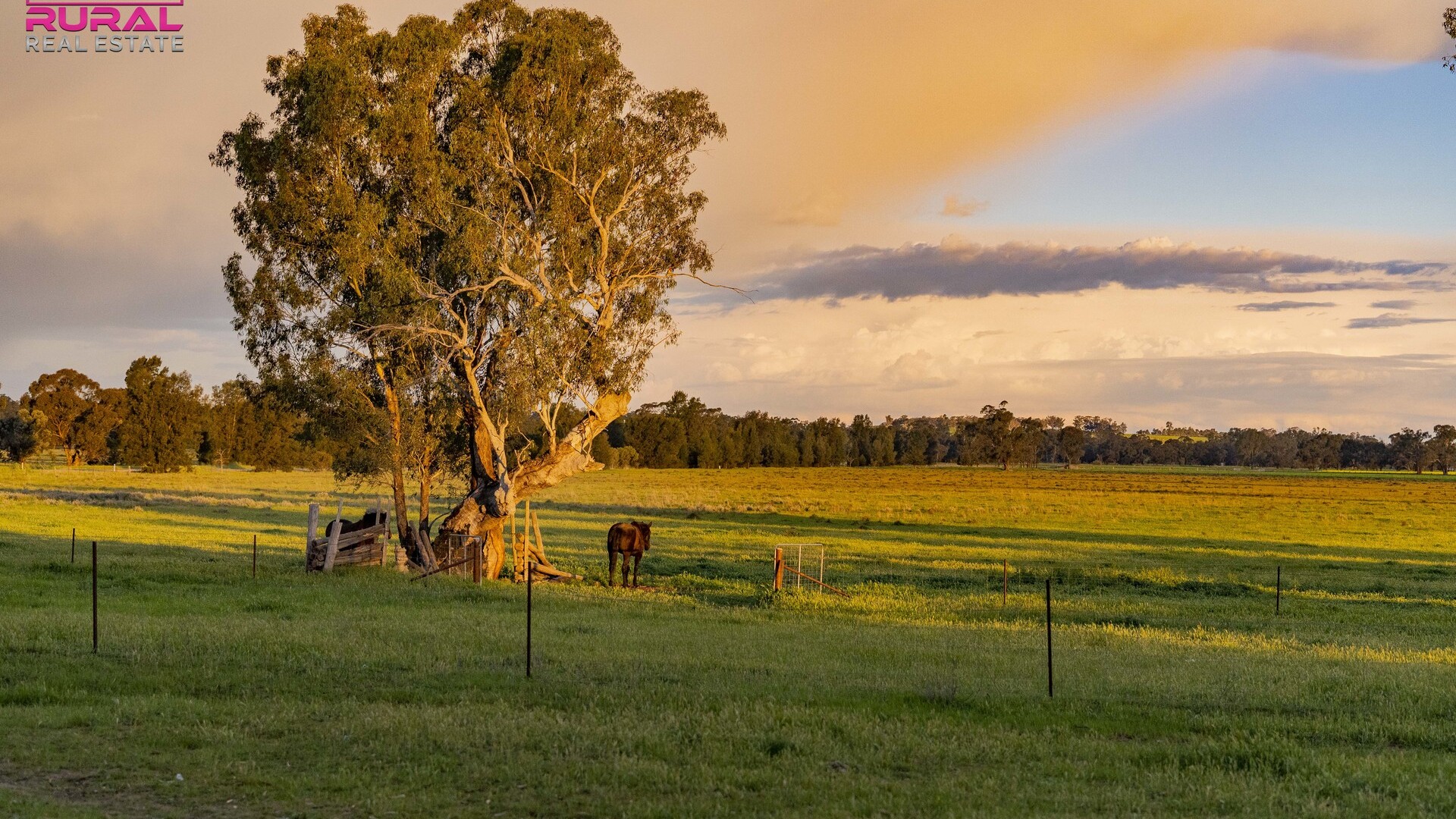 9401 Sturt Highway, Narrandera NSW 2700 - photo 30