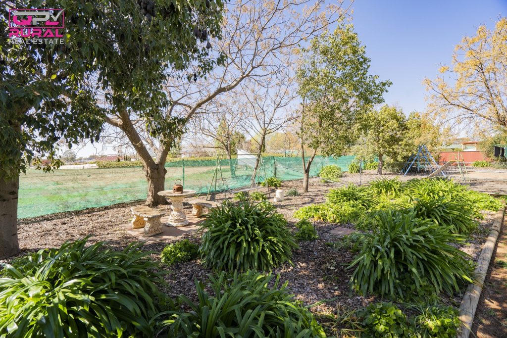 5 Joffre Street, Temora NSW 2666 - photo 22