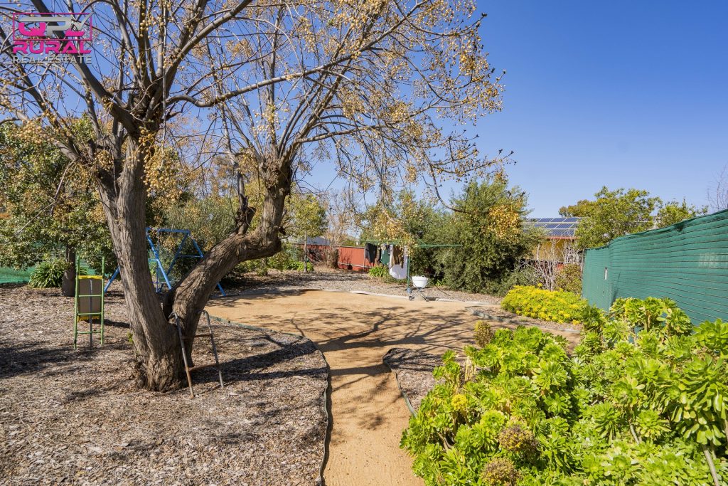 5 Joffre Street, Temora NSW 2666 - photo 25