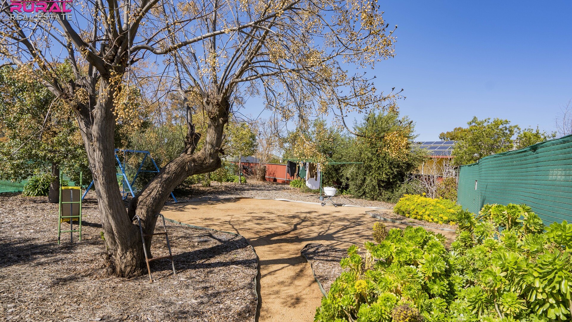5 Joffre Street, Temora NSW 2666 - photo 25