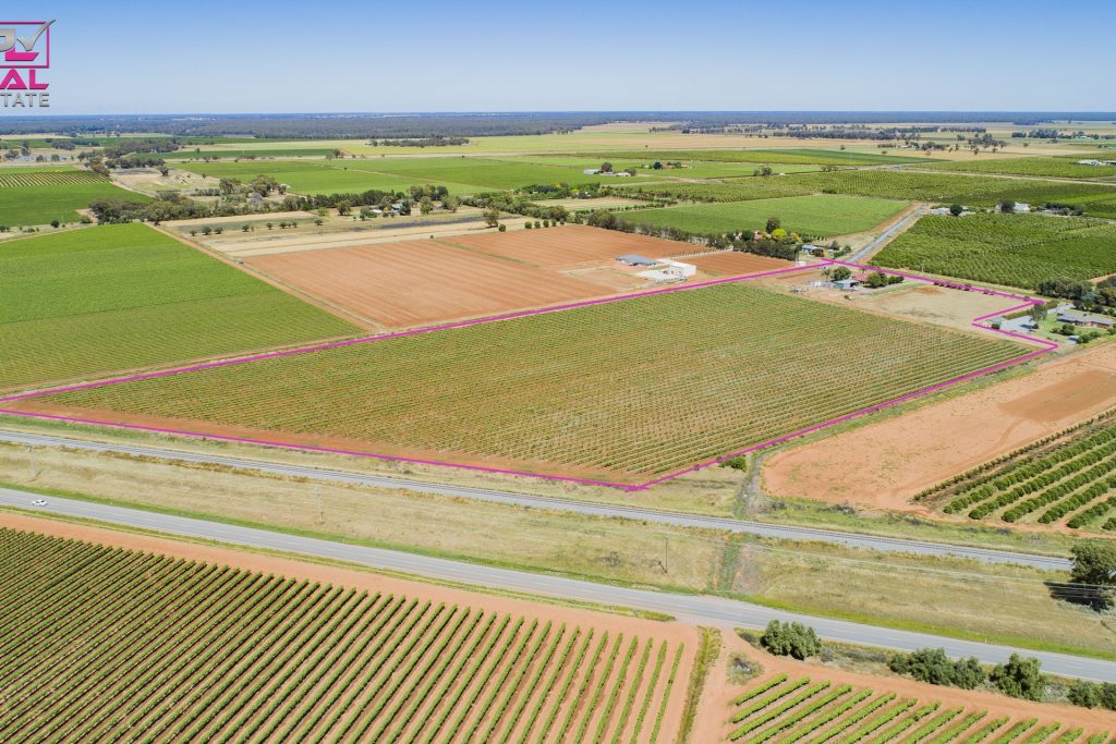 775 Dempsey Road, Leeton NSW 2705 - photo 3