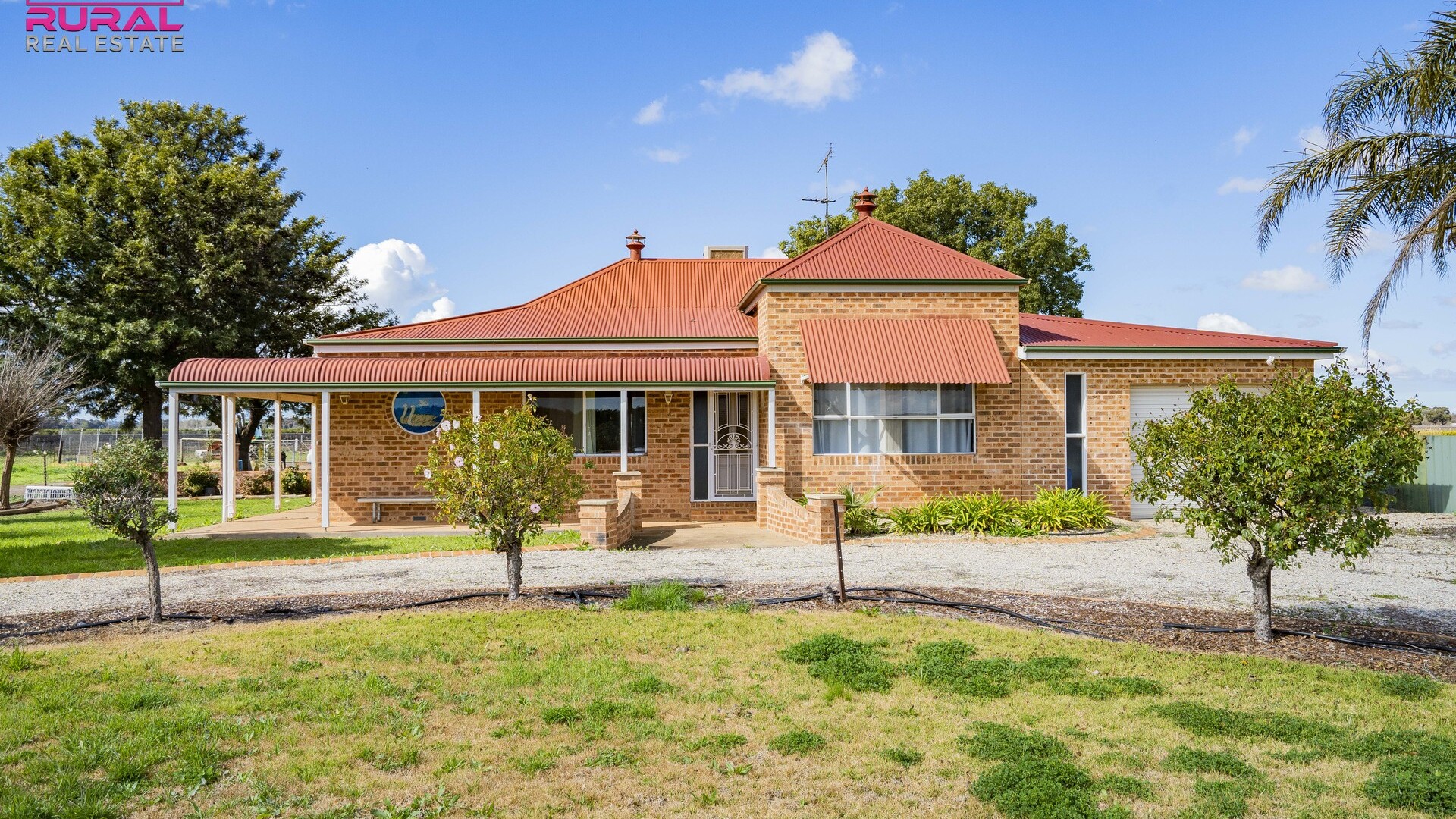 775 Dempsey Road, Leeton NSW 2705 - photo 4