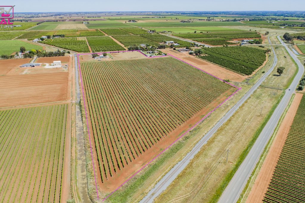 775 Dempsey Road, Leeton NSW 2705 - photo 5