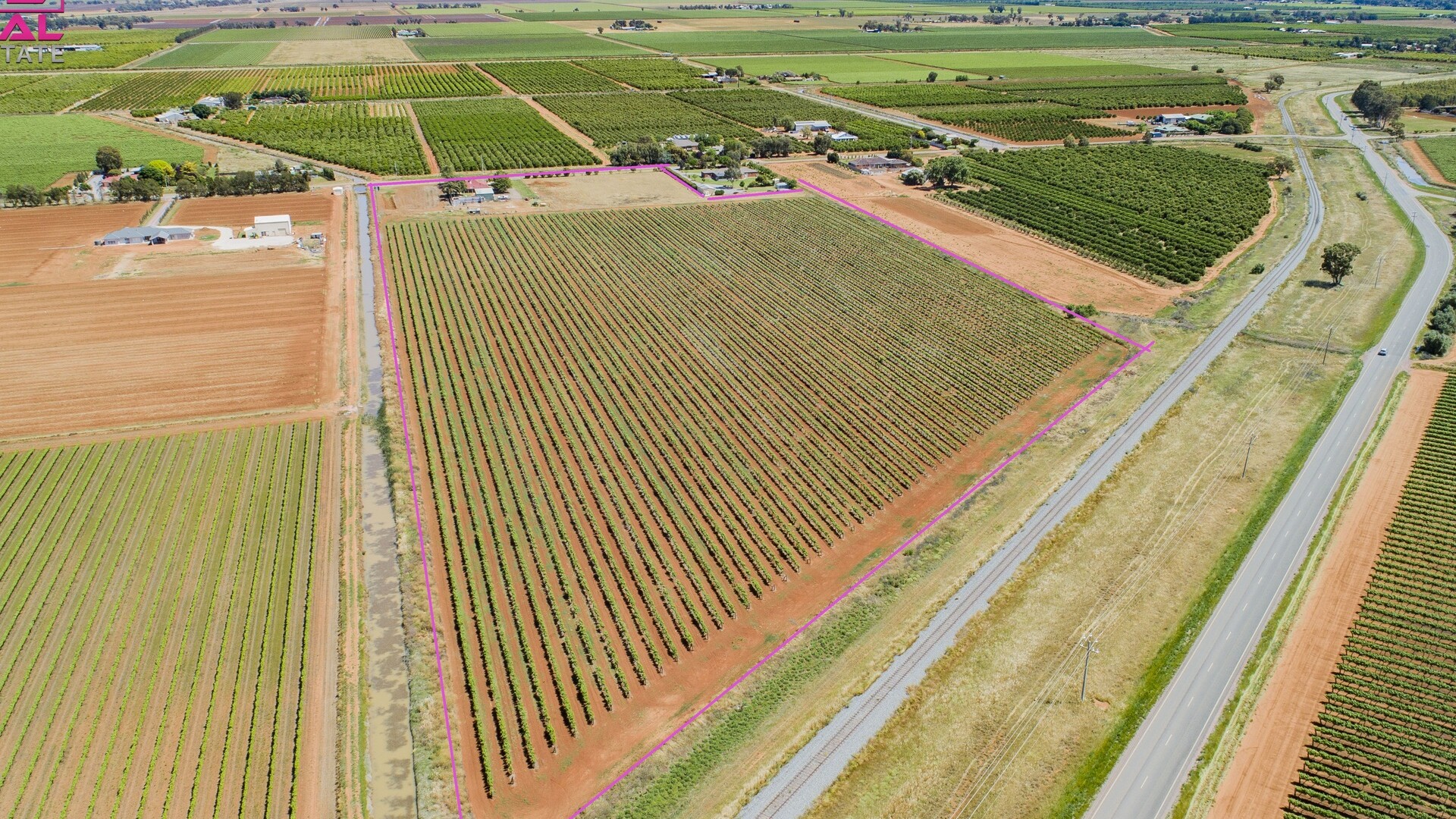 775 Dempsey Road, Leeton NSW 2705 - photo 5