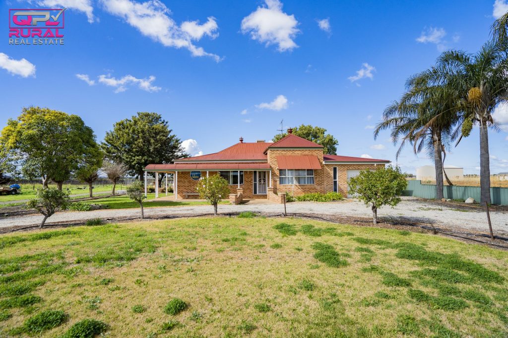 775 Dempsey Road, Leeton NSW 2705 - photo 6