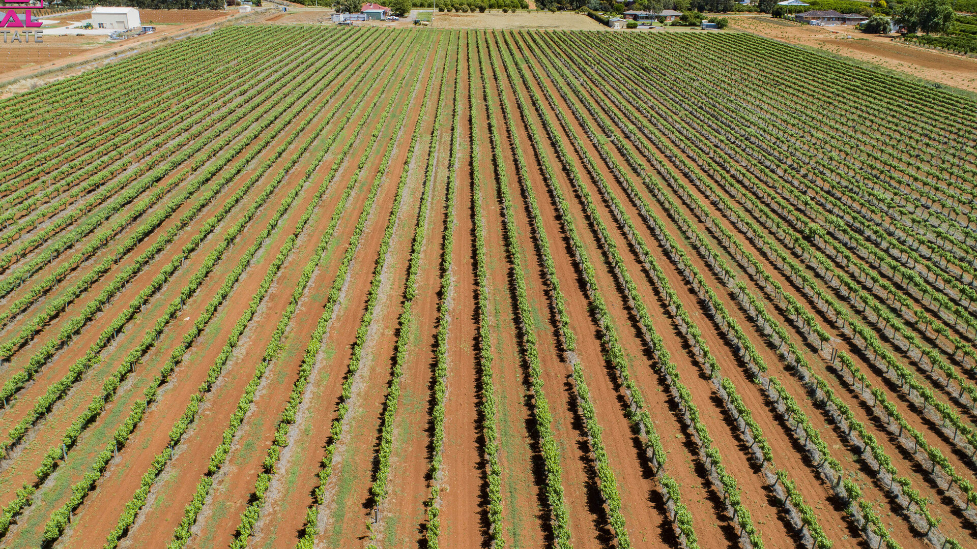 775 Dempsey Road, Leeton NSW 2705 - photo 7