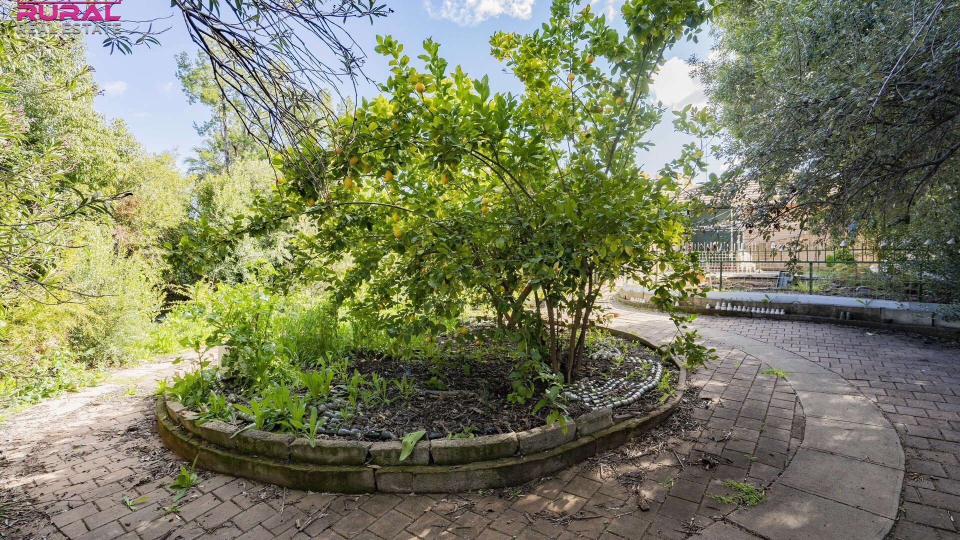 88 Douglas Street, Narrandera NSW 2700 - photo 15