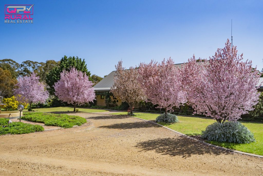 180 Bundawarrah Road, Temora NSW 2666 - photo 2