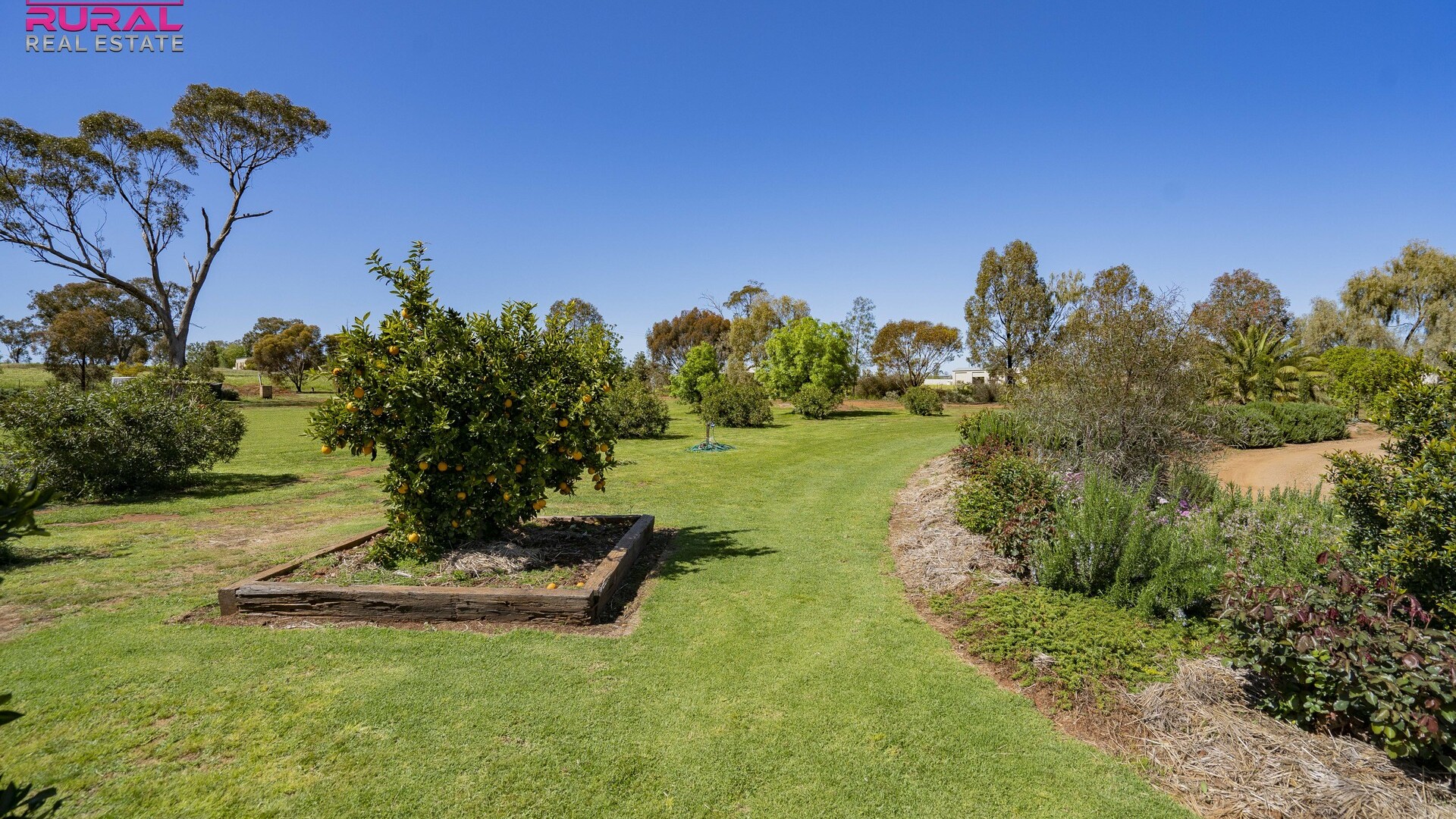 180 Bundawarrah Road, Temora NSW 2666 - photo 31