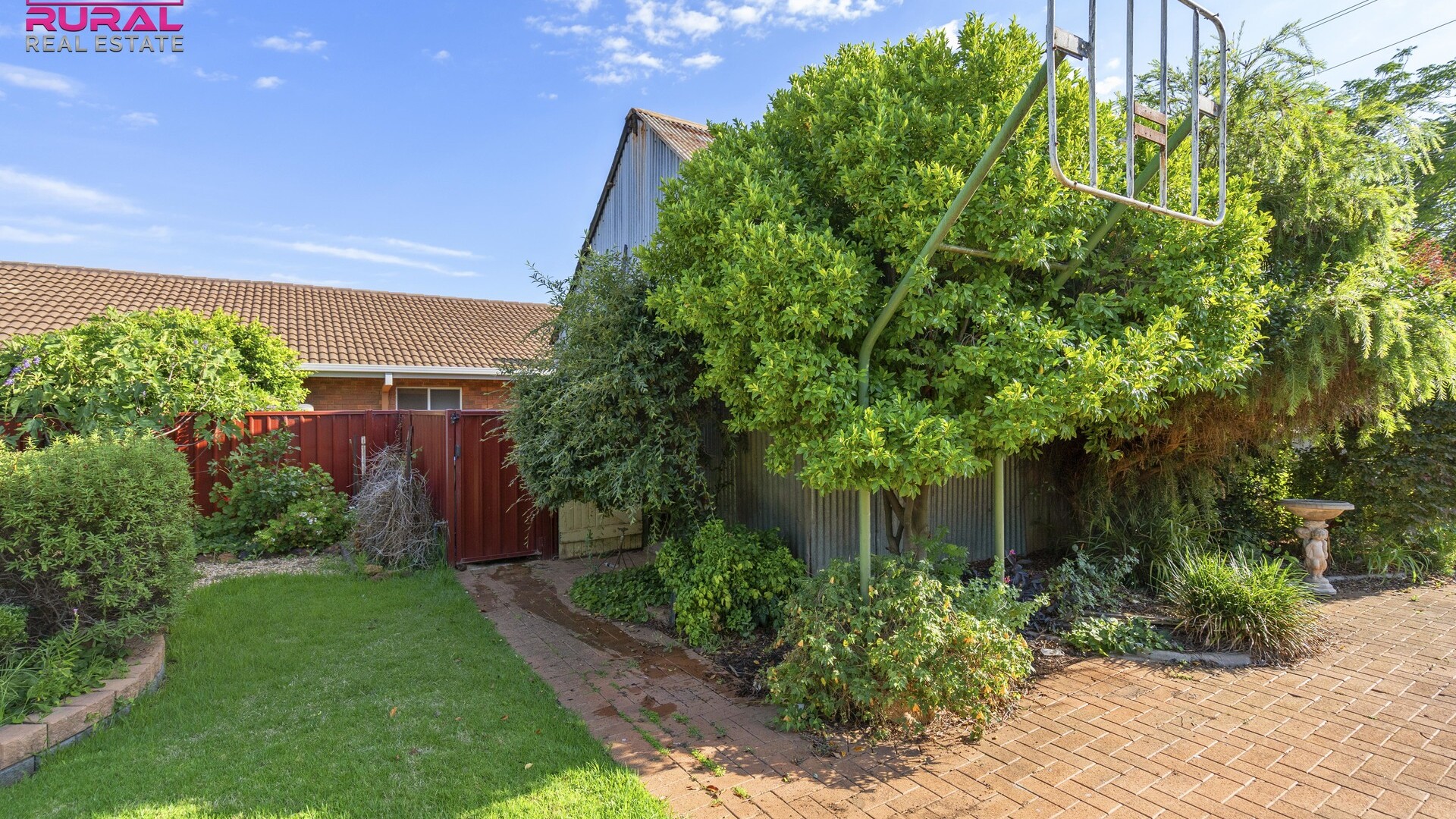 141 Baker Street, Temora NSW 2666 - photo 23