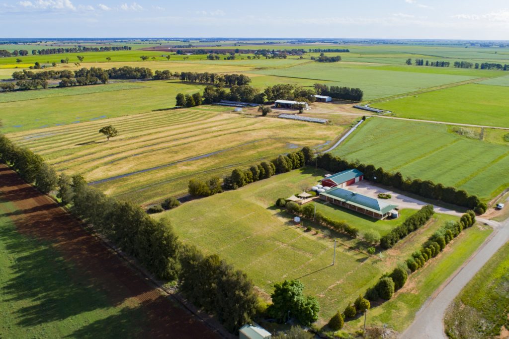 225 Garner Road, Leeton NSW 2705 - photo 2
