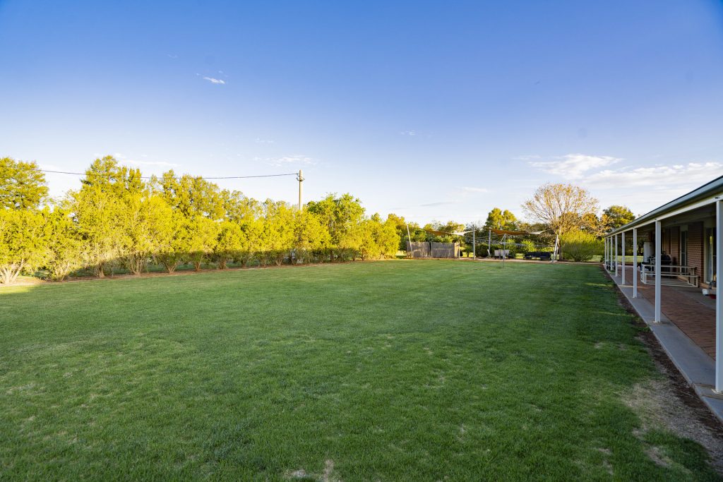 225 Garner Road, Leeton NSW 2705 - photo 26