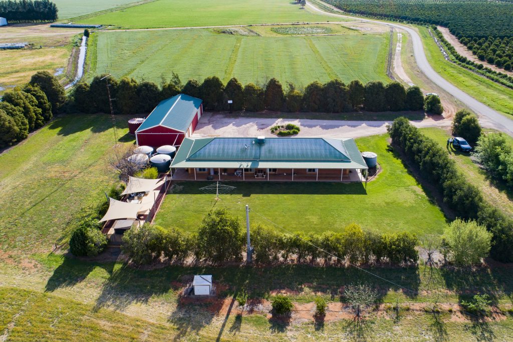 225 Garner Road, Leeton NSW 2705 - photo 4