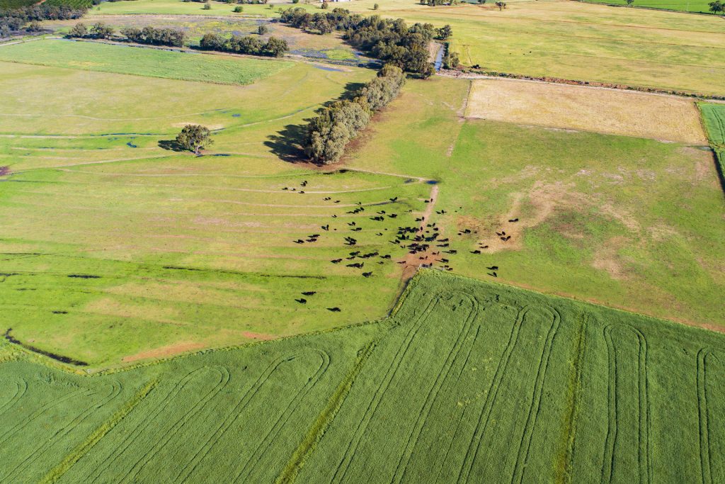 225 Garner Road, Leeton NSW 2705 - photo 6