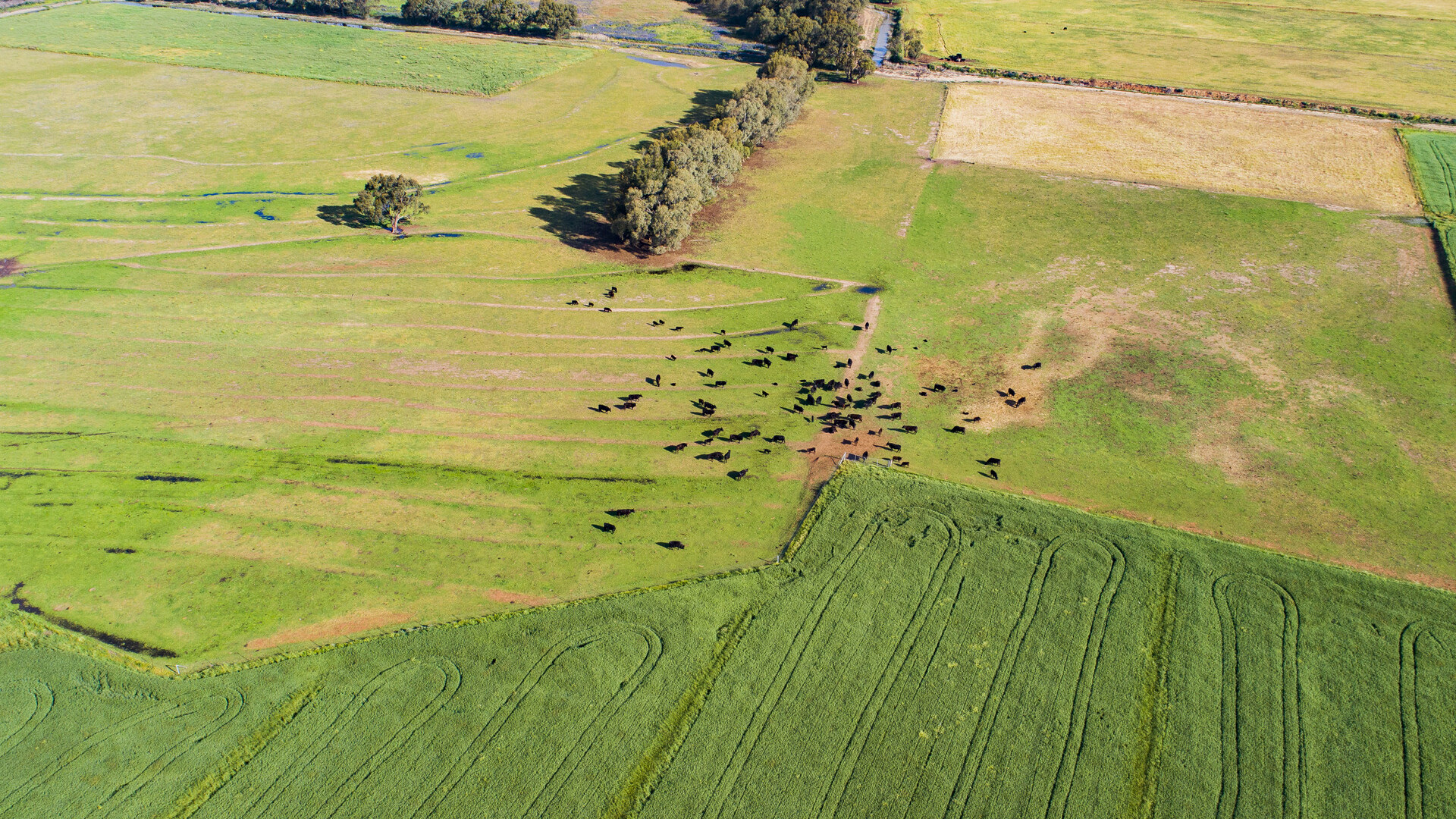 225 Garner Road, Leeton NSW 2705 - photo 6