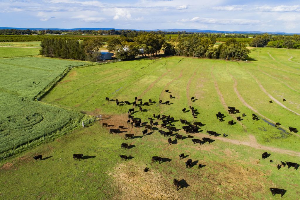 225 Garner Road, Leeton NSW 2705 - photo 7