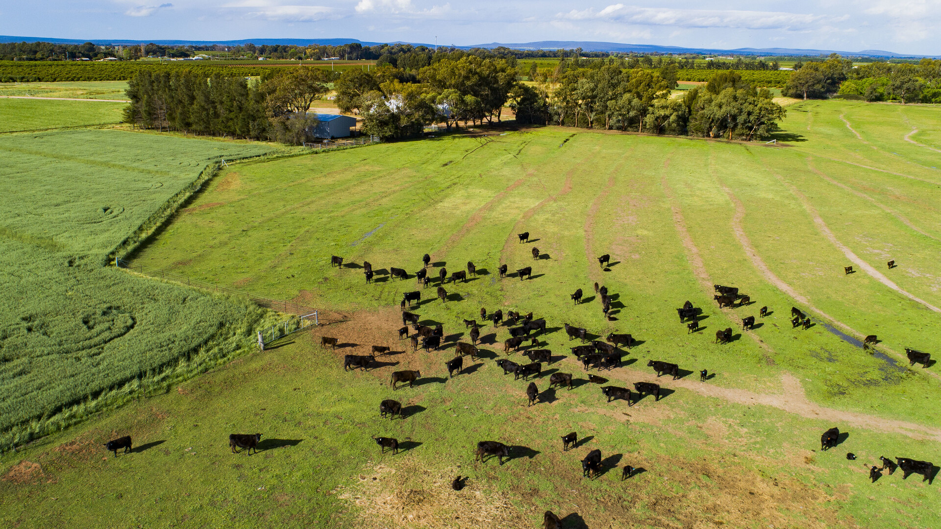 225 Garner Road, Leeton NSW 2705 - photo 7
