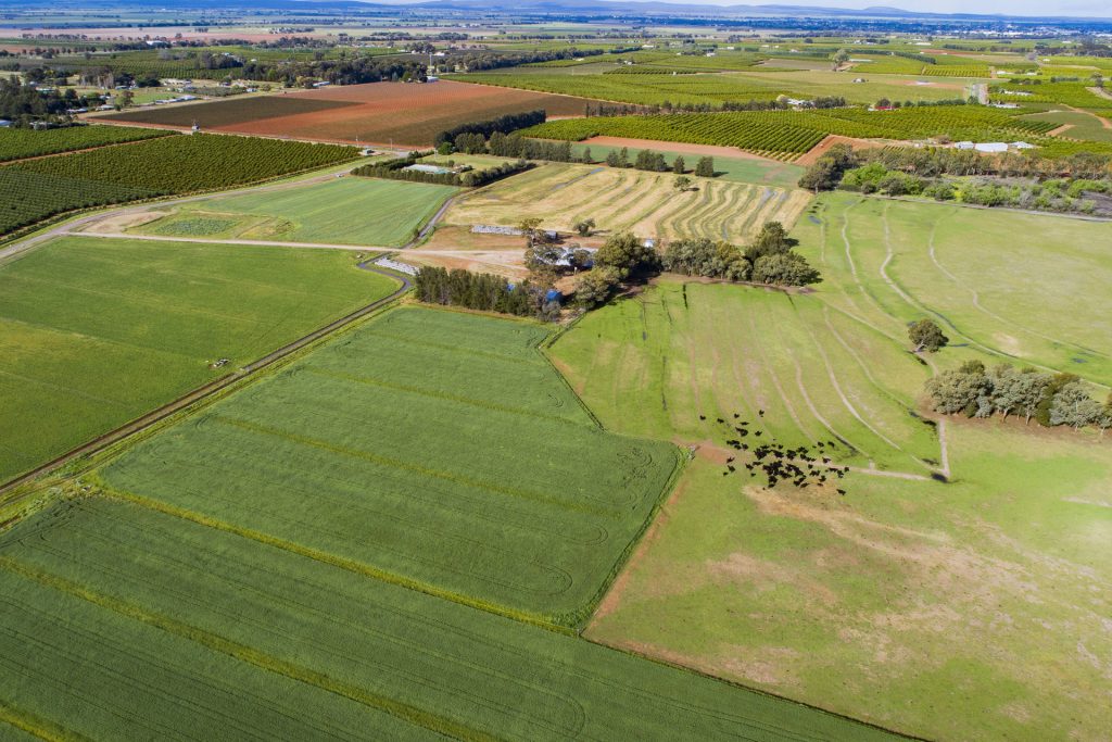 225 Garner Road, Leeton NSW 2705 - photo 10