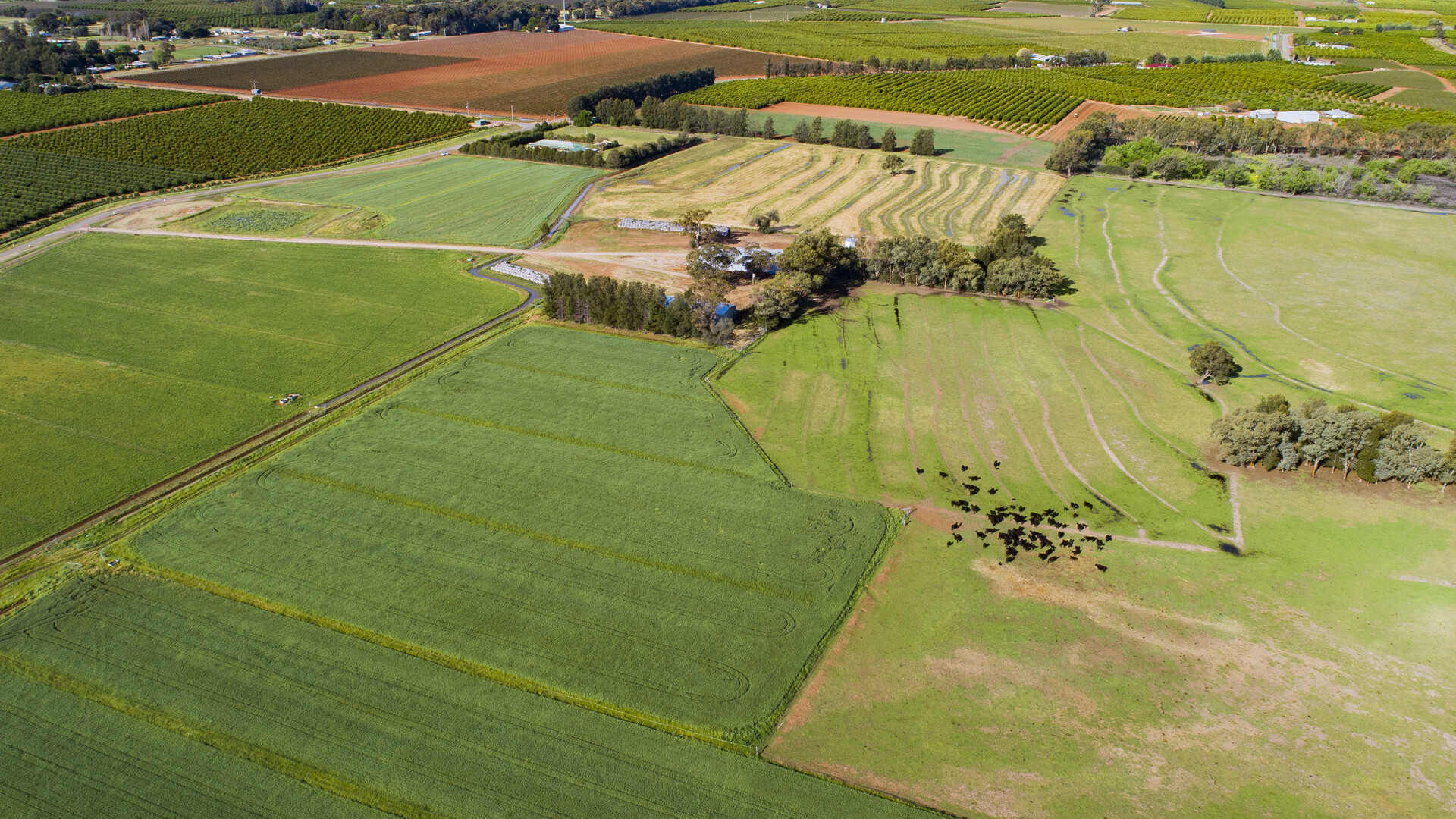 225 Garner Road, Leeton NSW 2705 - photo 10