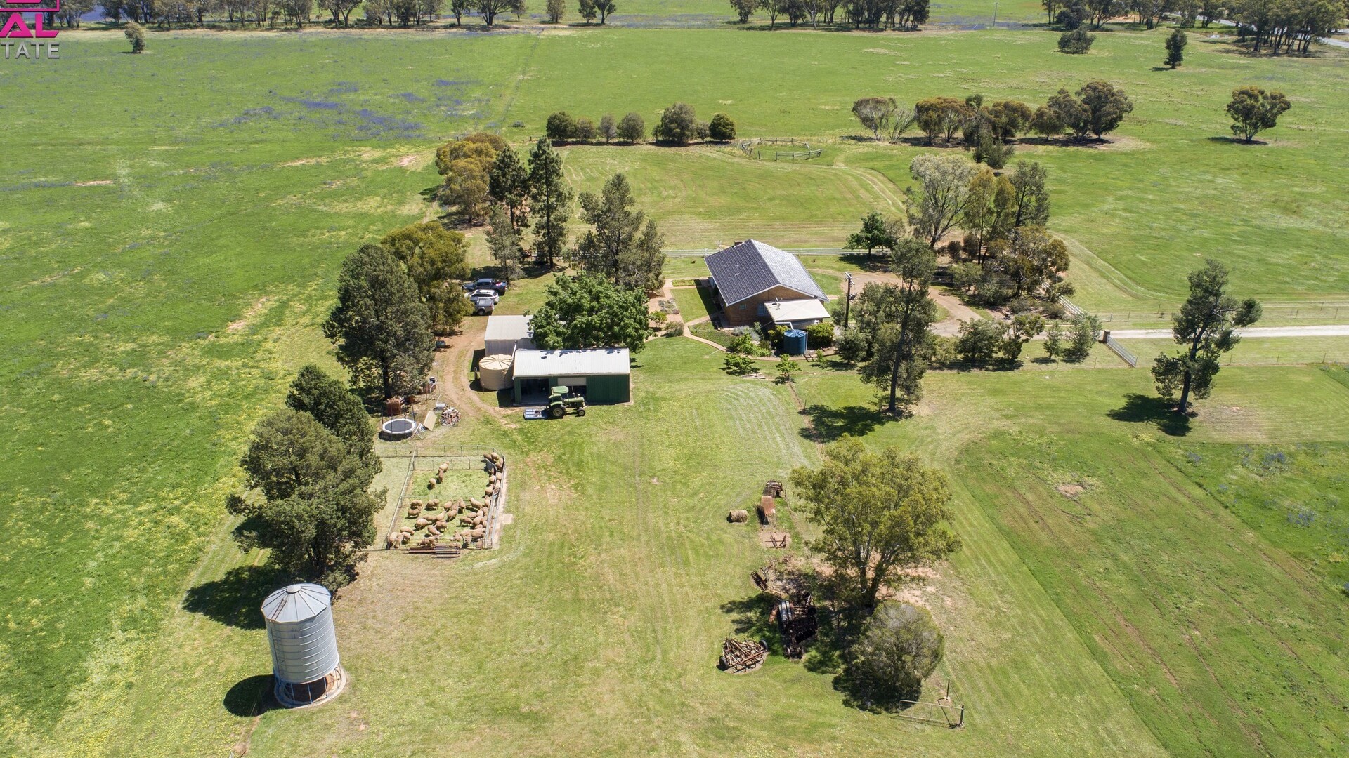 285 Burley Griffin Way, Temora NSW 2666 - photo 5