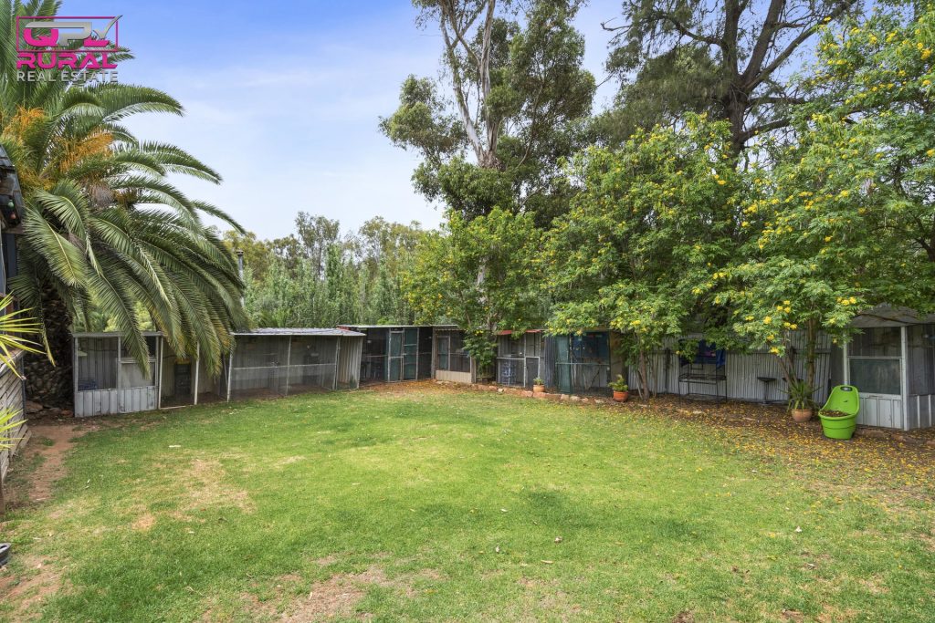 34 Midgeon Street, Narrandera NSW 2700 - photo 16