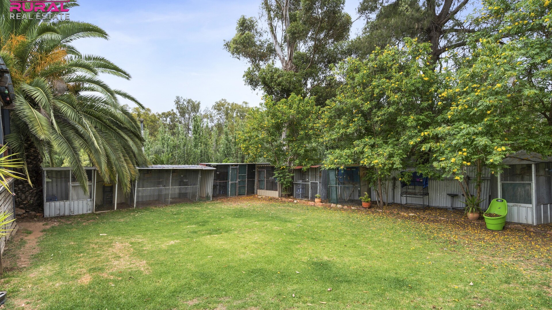 34 Midgeon Street, Narrandera NSW 2700 - photo 16