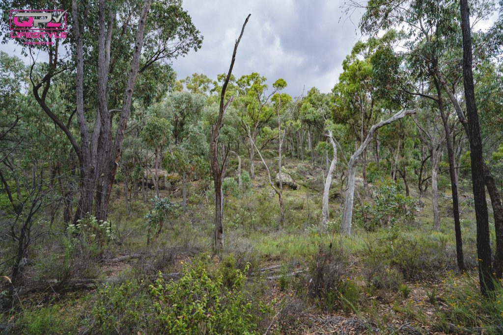 902 Reids Flat Road, Bigga NSW 2583 - photo 31