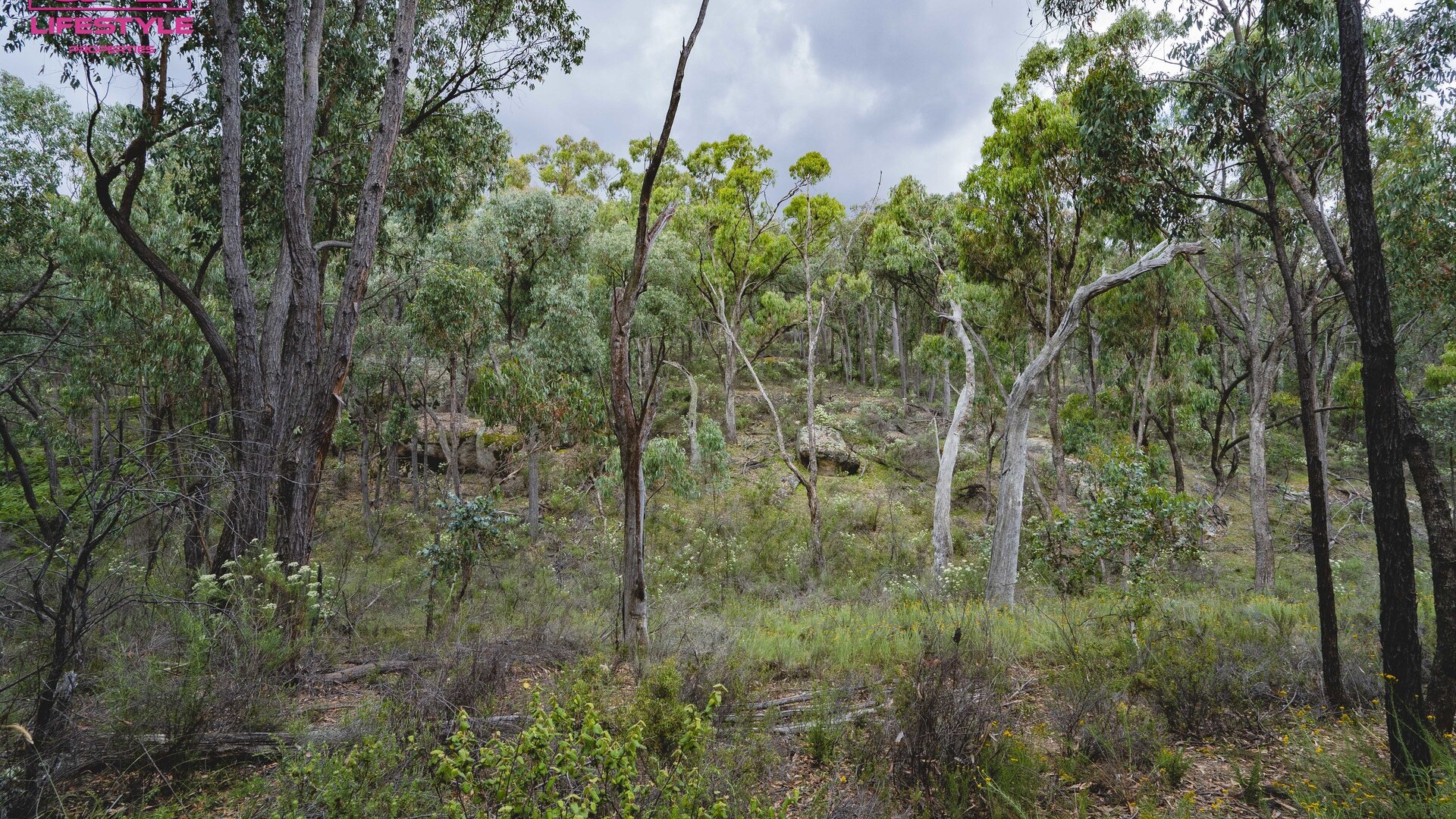 902 Reids Flat Road, Bigga NSW 2583 - photo 31