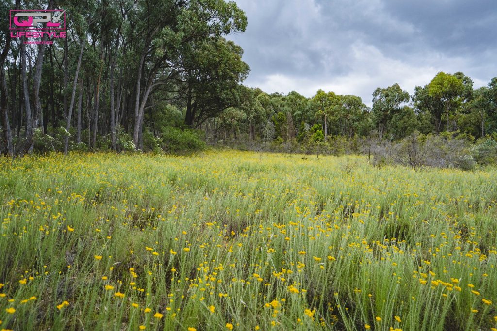 902 Reids Flat Road, Bigga NSW 2583 - photo 32