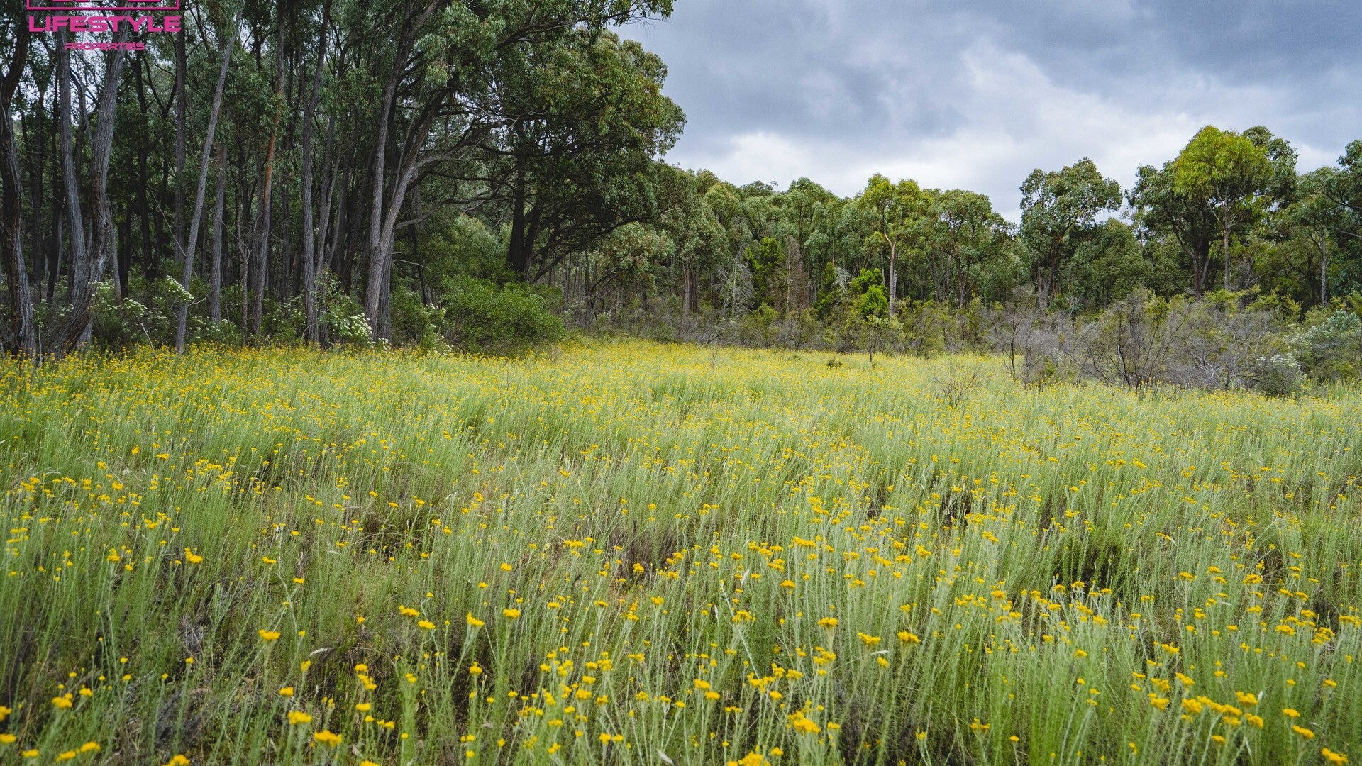 902 Reids Flat Road, Bigga NSW 2583 - photo 32