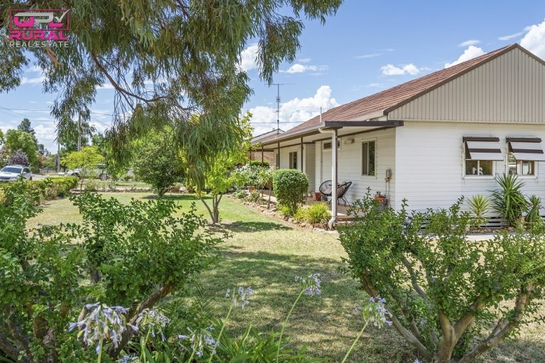 25 Banksia Avenue, Leeton NSW 2705 - photo 3