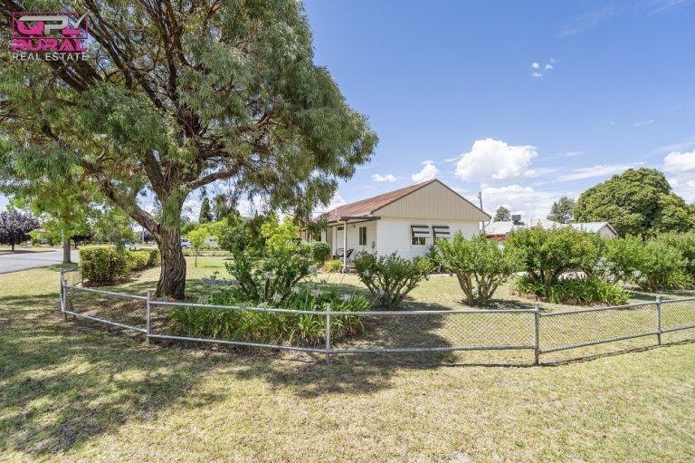 25 Banksia Avenue, Leeton NSW 2705 - photo 4