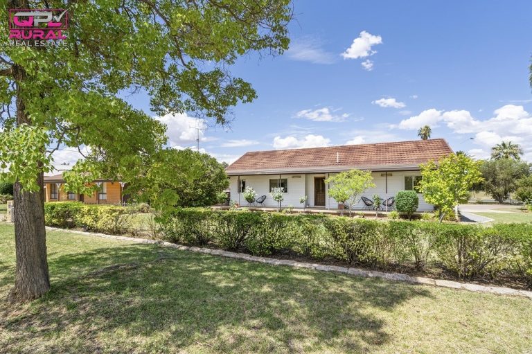 25 Banksia Avenue, Leeton NSW 2705 - McGrath Riverina