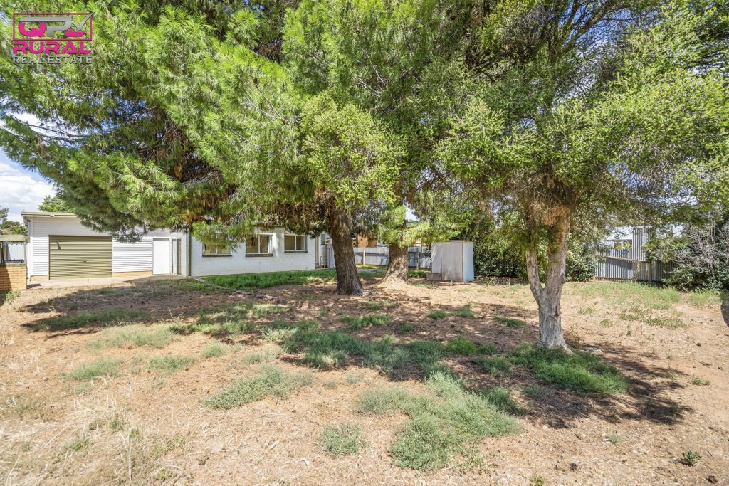 41 Gossamer Street, Leeton NSW 2705 - photo 12