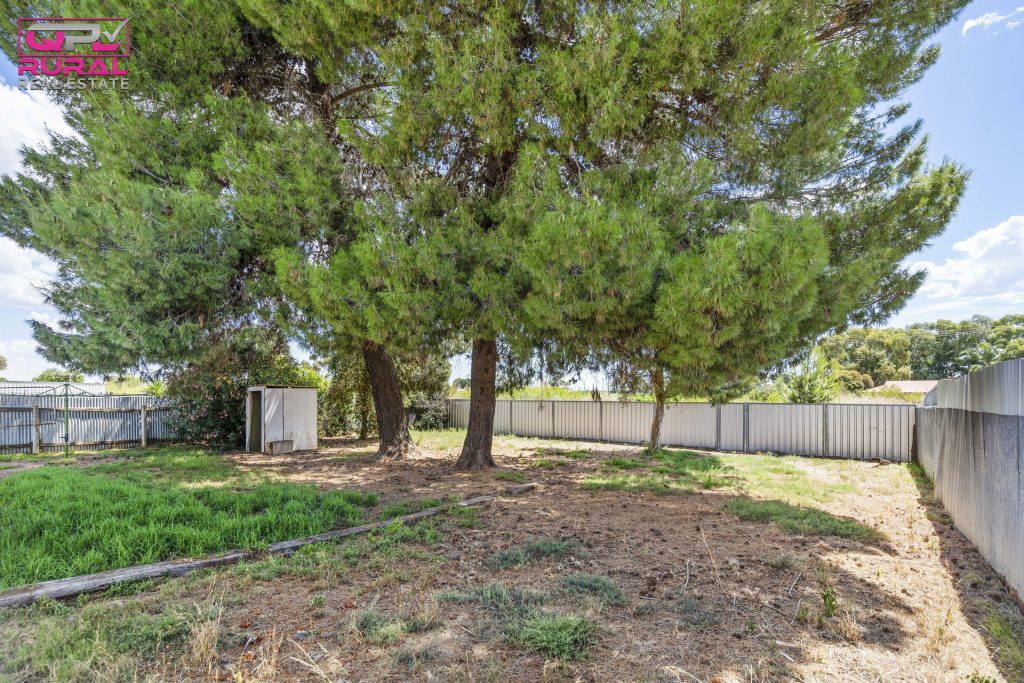 41 Gossamer Street, Leeton NSW 2705 - photo 13