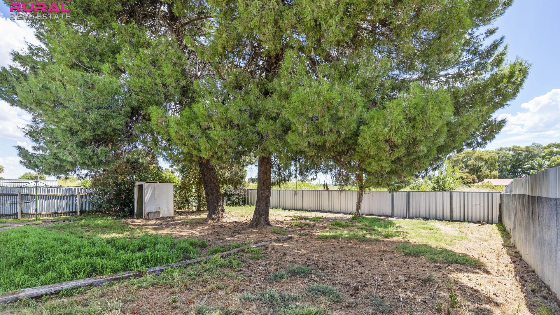 41 Gossamer Street, Leeton NSW 2705 - photo 13