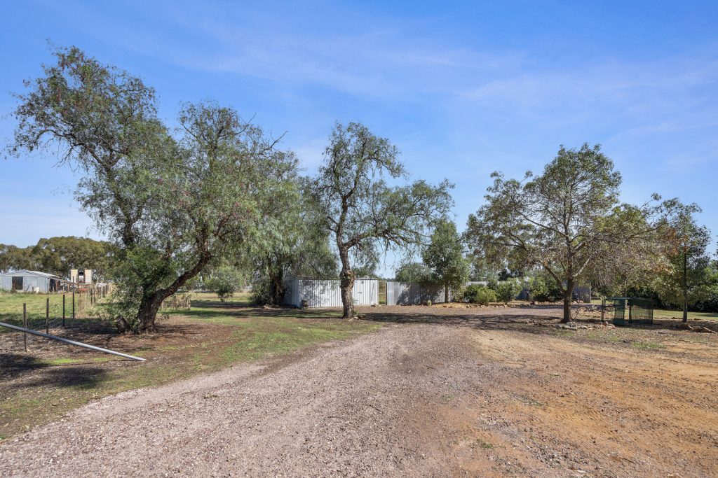 225 McNeil Road, Leeton NSW 2705 - photo 23
